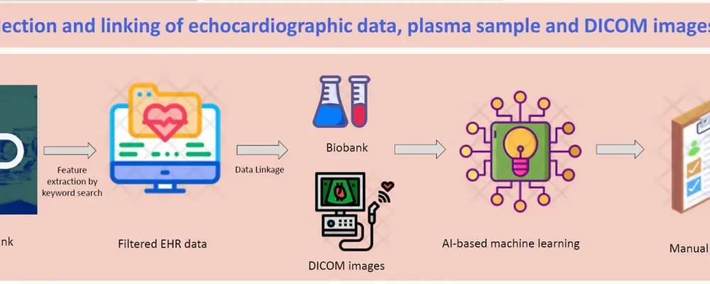 AI echo diagnosis support for heart failure screening and detection from electronic health records