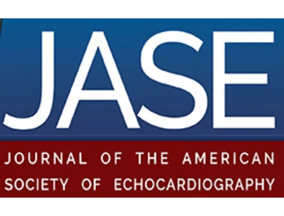 AI in echocardiography for AI echo diagnosis support